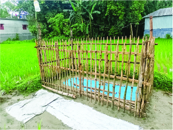 Image of  মো: সাব্বির হাসান